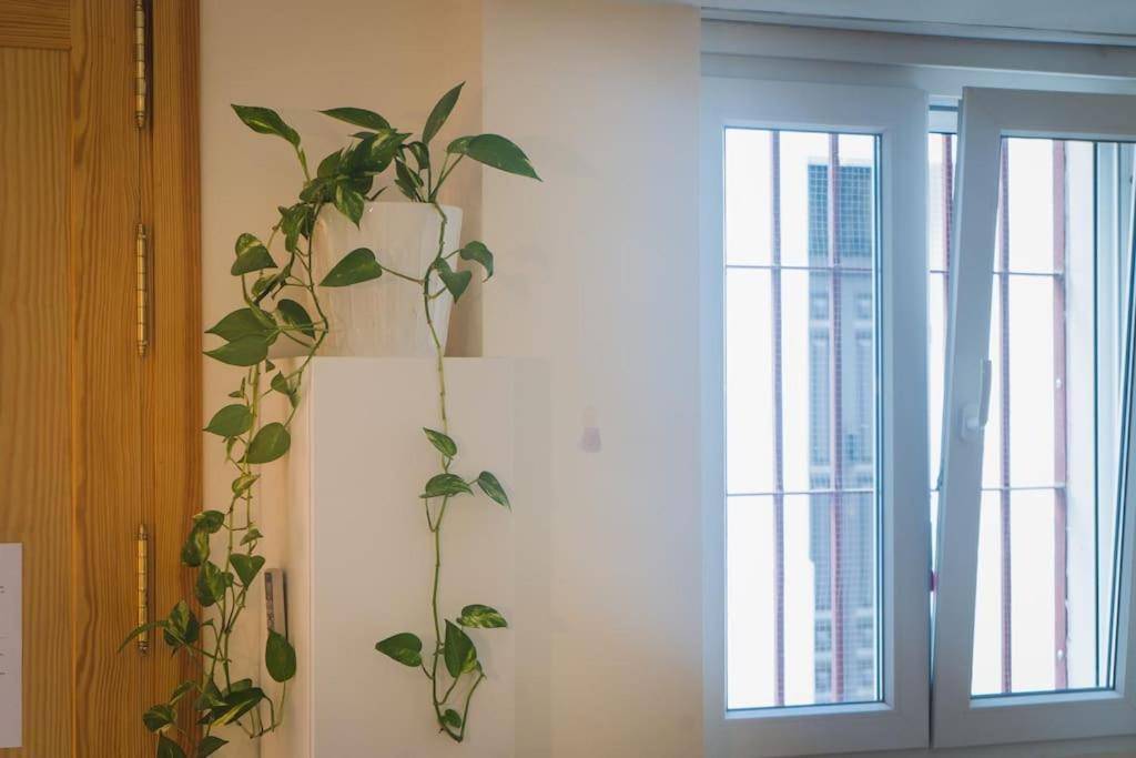 Estudio A Estrenar En Sta Clara Sevilla Exteriör bild
